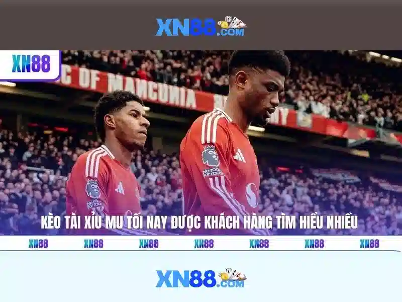 chính sách bảo vệ người chơi XN88