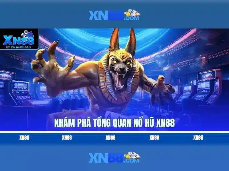 Tại Sao Nên Chọn XN88