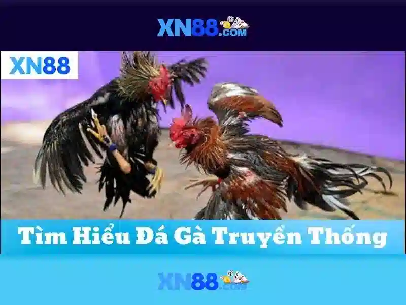 Trải Nghiệm Slot XN88
