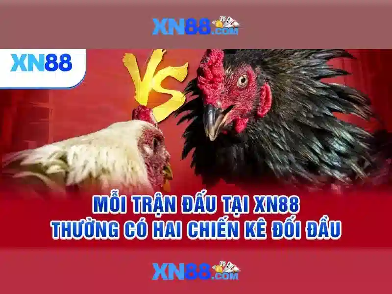 XN88 – Hướng Dẫn Đăng Ký
