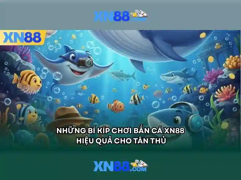 Kèo Bshrf Chuyên Nghiệp