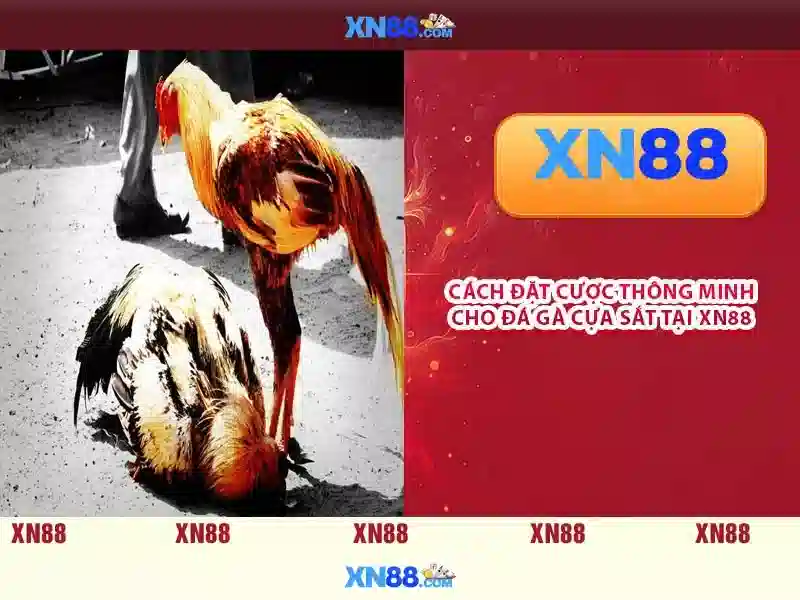 Ứng dụng Slot XN88