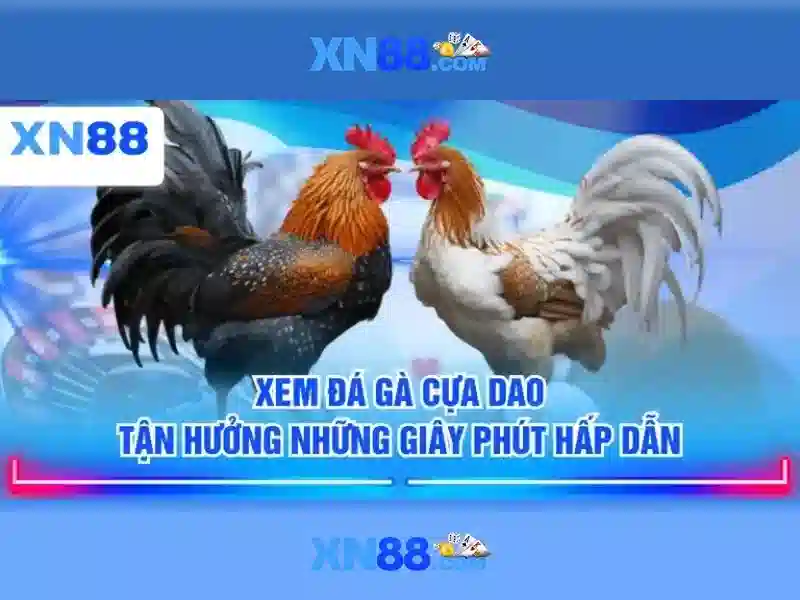 XN88 – Trang Chủ XN88 – Slot, Casino, Thể Thao, Đá Gà, Nổ Hũ, Bắn Cá, Game Bài 3D | XN88 Lừa Đảo 2026