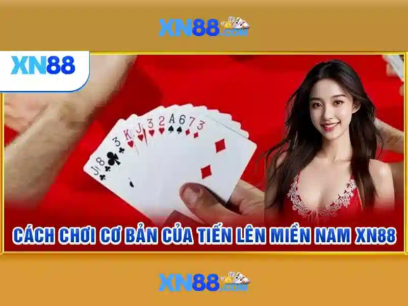 Đa Dạng Dịch Vụ SLOT Đáp Ứng Mọi Nhu Cầu