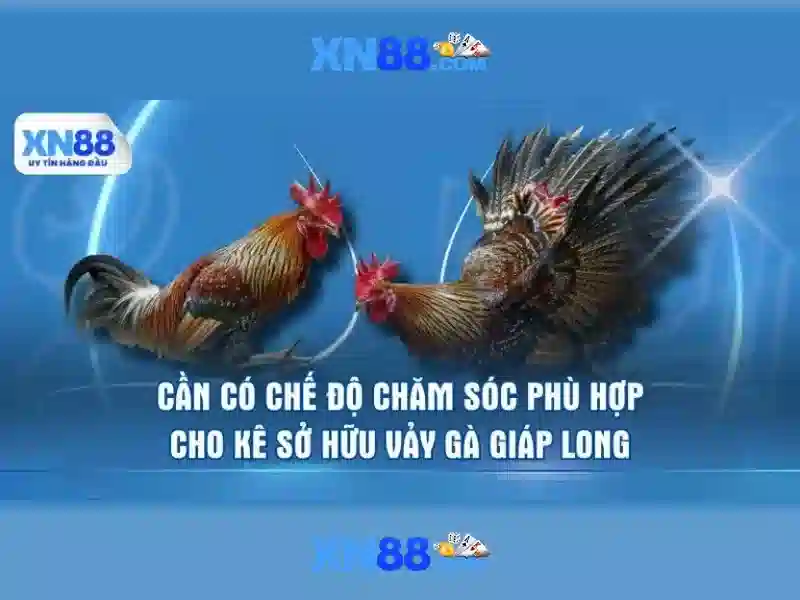 Đánh giá XN88