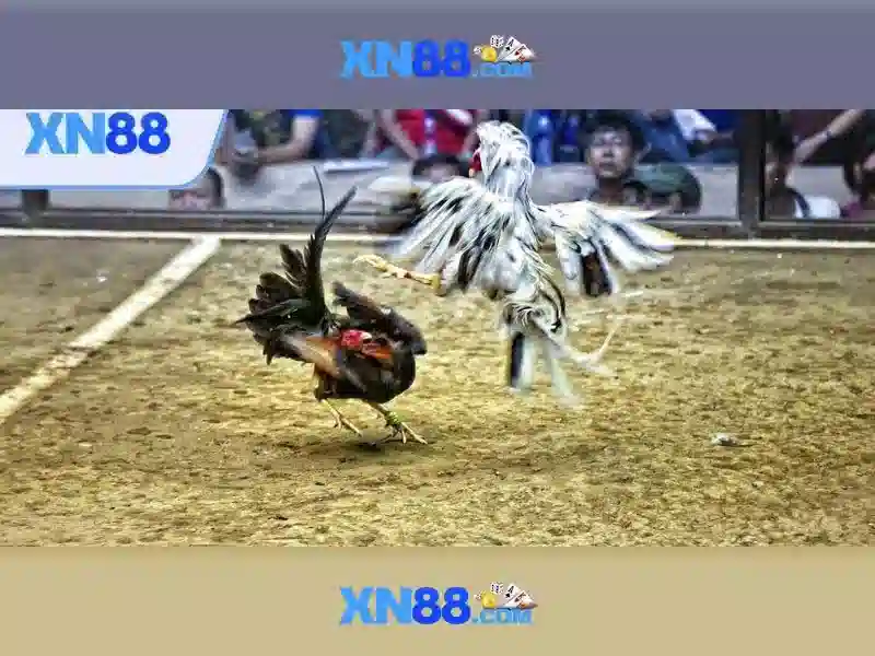 Khám Phá Trải Nghiệm Slot Đỉnh Cao Tại XN88