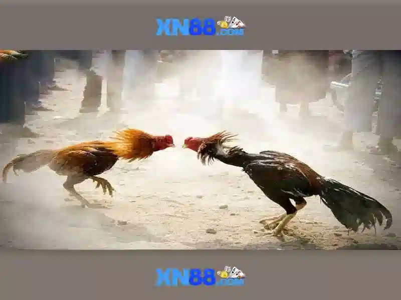 Ưu đãi slot hấp dẫn