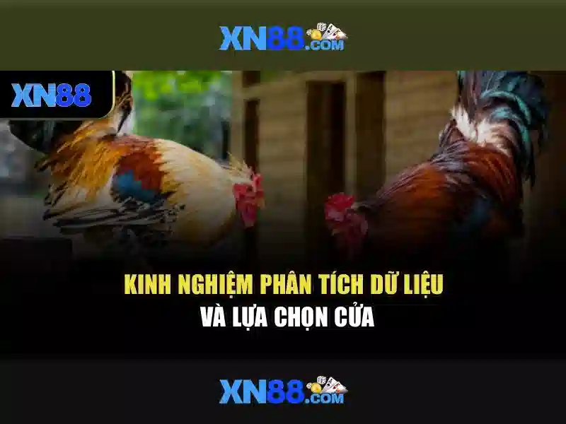 Cách Truy Cập XN88 Chính Thức