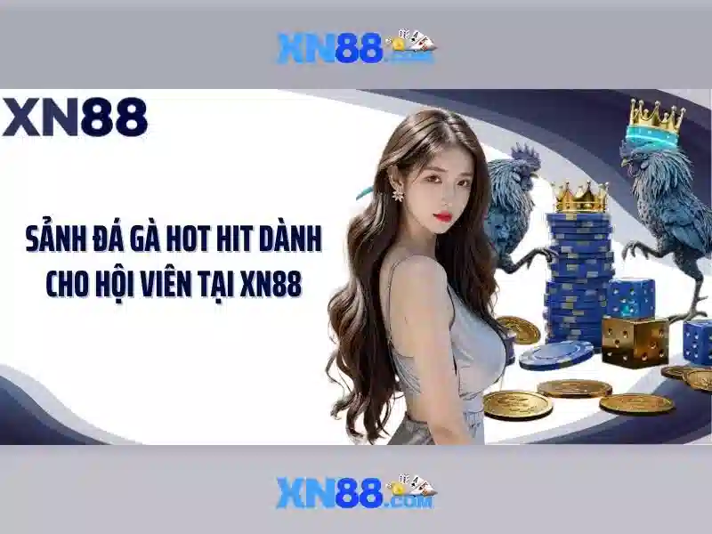 Quy trình đăng nhập XN88
