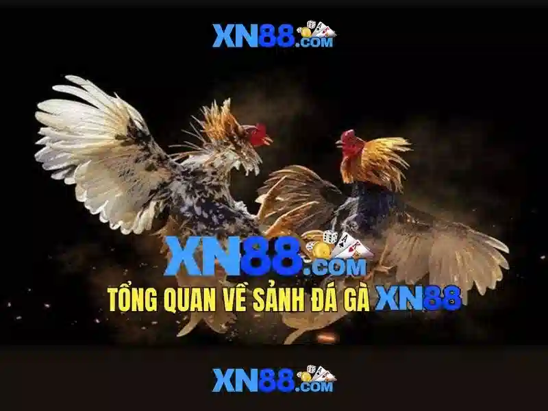 Trải nghiệm slot đỉnh cao