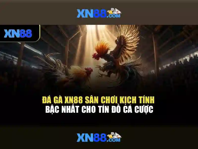 Trải Nghiệm Slot Đỉnh Cao Với XN88 Win
