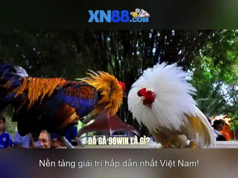 Tải app XN88