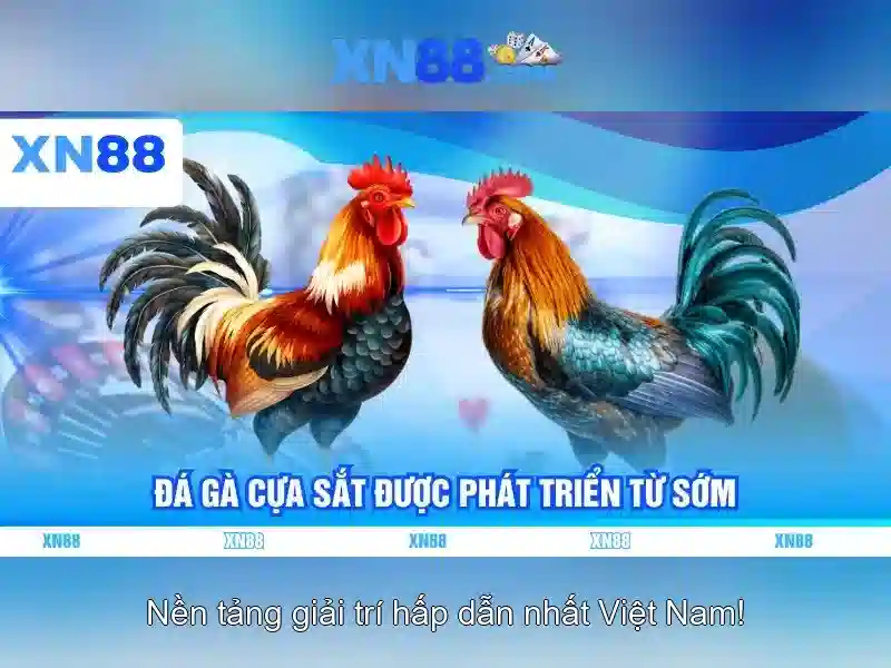 Quyền Riêng Tư Slot XN88