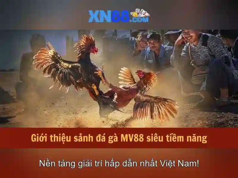 Tính năng XN88
