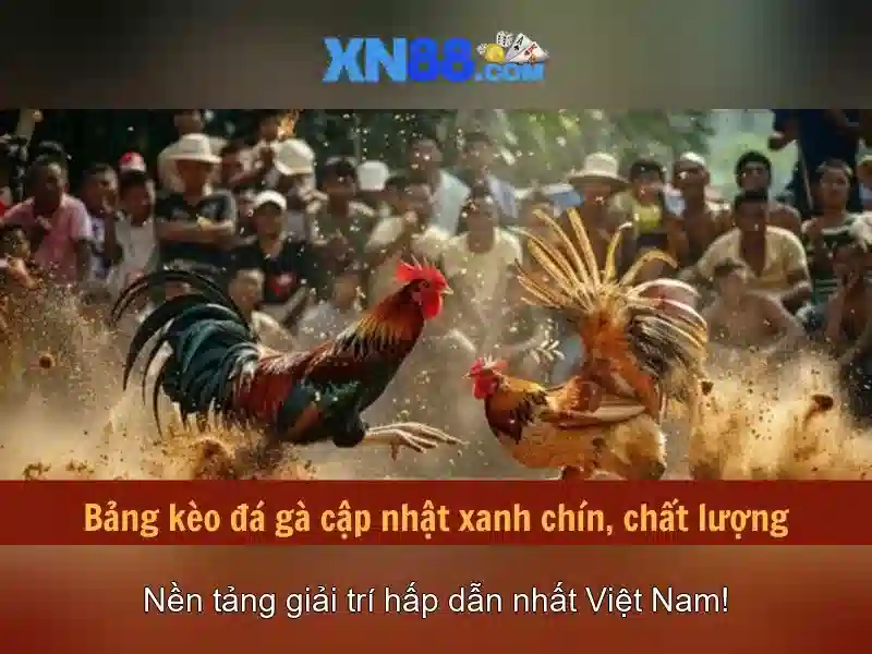 Hỗ Trợ Kỹ Thuật Cho Người Chơi SLOT