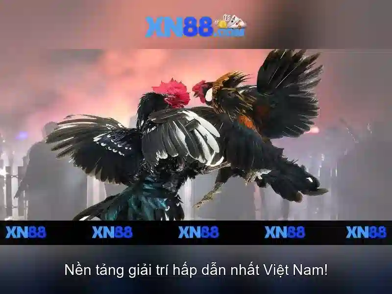 Hướng dẫn đăng ký XN88