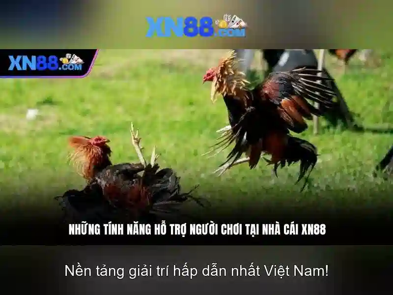 Đa Dạng Trò Chơi Slot Tại XN88 Bshrf