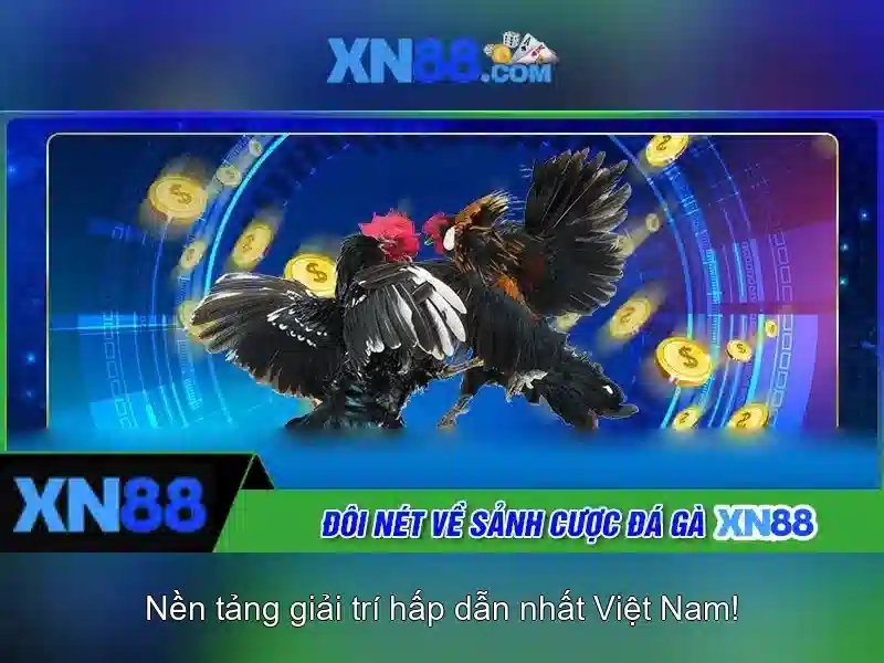 Tính năng tự động hóa trên XN88