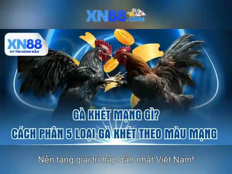 XN88 - Trải Nghiệm Cá Cược Slot Đa Dạng Với Ưu Đãi Đặc Biệt 2026