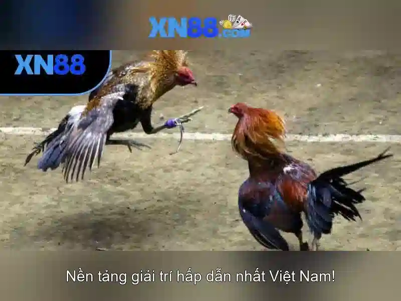 Loại trò chơi Esport XN88