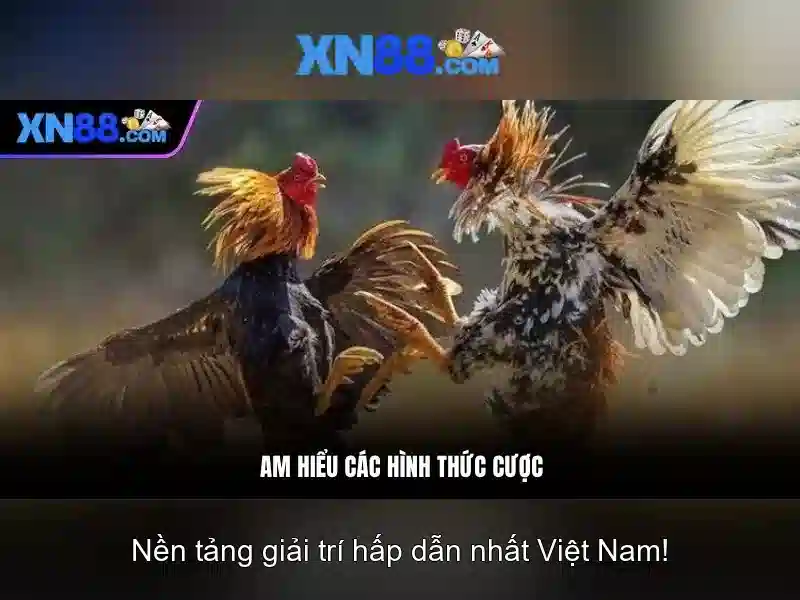 Trải Nghiệm Chơi SLOT Tại XN88