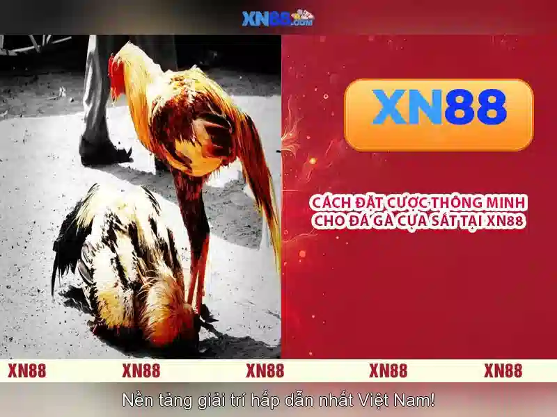Ưu Điểm Nổi Bật