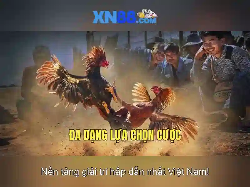 Hệ thống Slot đa dạng tại XN88