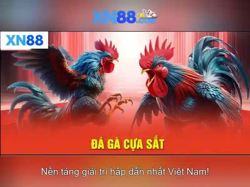 Trải Nghiệm Game XN88 Đỉnh Cao – Slot, Casino, Thể Thao Đa Dạng 2026