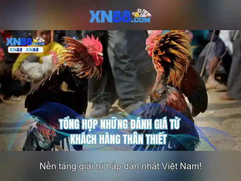 Kỹ Năng Nâng Cao Trong Game Bắn Cá