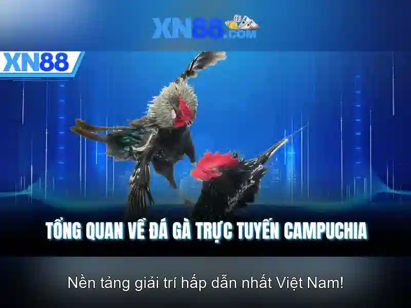 XN88 Gaming