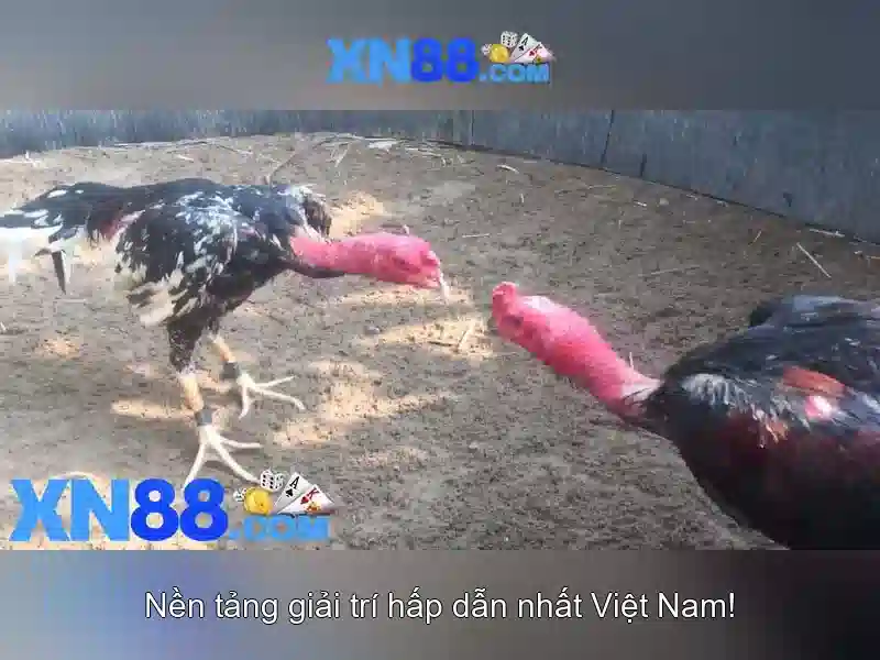 trải nghiệm game slot đỉnh cao