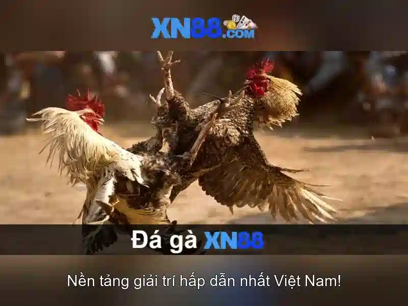 XN88 – Hướng Dẫn Đăng Nhập Trang Chủ Mới Nhất 2026