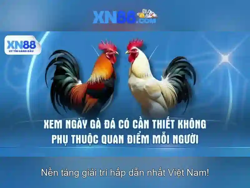 tai xn88