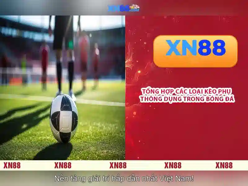 Tải XN88 Miễn Phí Ngay Hôm Nay