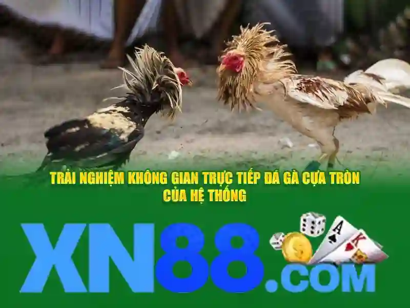 Trải Nghiệm Slot Trực Tuyến XN88 App